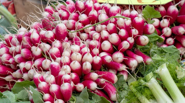 Organic Radish Bunch Market — Stock Photo, Image