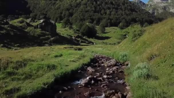 Küçük Nehir Pyrenees Dağlarda — Stok video