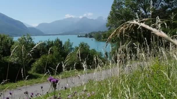 Vista Lago Annecy Con Pista Ciclabile Slow Motion — Video Stock