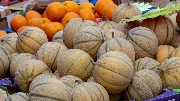 Färska Melonerna Marknaden — Stockfoto