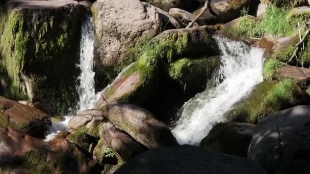 Små Vattenfall Berget — Stockvideo