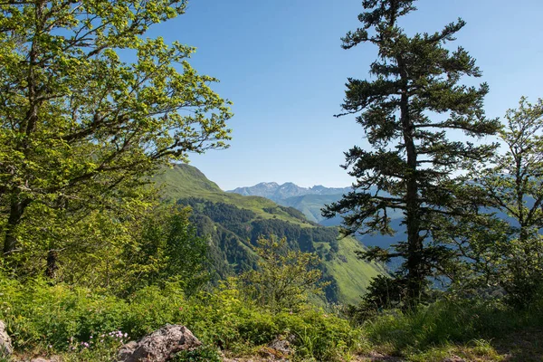 Eine Berglandschaft Mit Blauem Himmel Und Wolken — Stockfoto