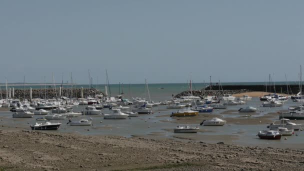Small Port Jard Sur Mer Vendee France — Stock Video