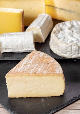 Kayrak bir plaka üzerinde farklı Fransız peynir