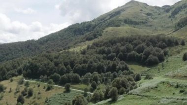 siyah atlar dağ otlaklarda dağ otlatma