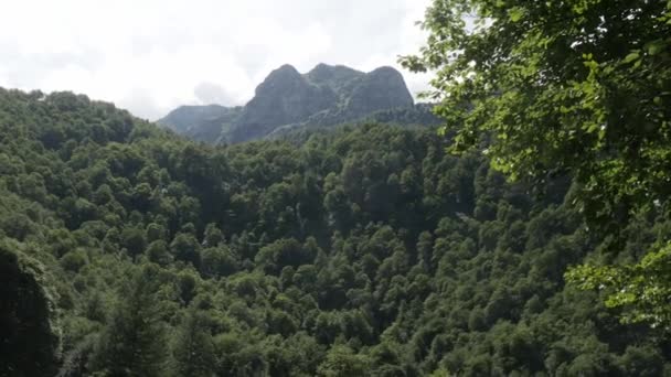 Etang Bethmale Fransız Pirene Dağları — Stok video