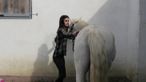 Jovem Mulher Cavaleiro Escovando Cavalo Branco — Vídeo de Stock