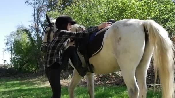 美しい女性が白い馬をマウント — ストック動画