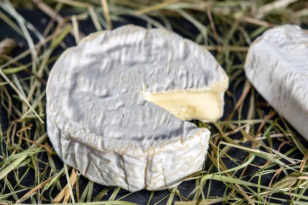 Chutné Camembert Normandie Slámy Mléčných Výrobků — Stock fotografie