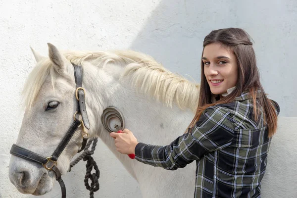 Smiling Young Woman Rider Brushing White Horse — Stock Photo, Image