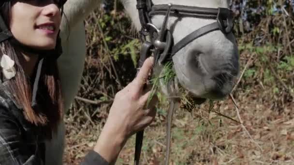 Jeune Femme Cavalière Avec Cheval Blanc — Video