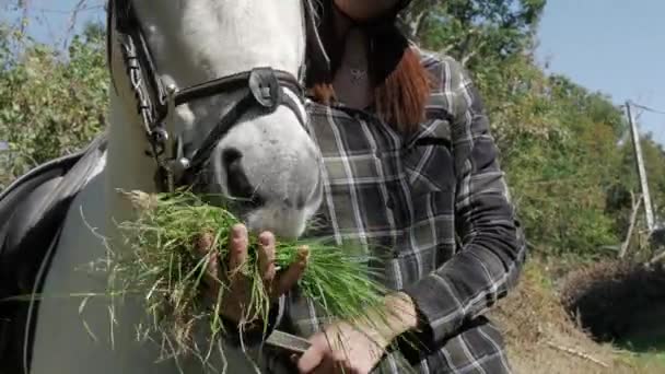 Jonge Vrouw Gras Geven Paard — Stockvideo