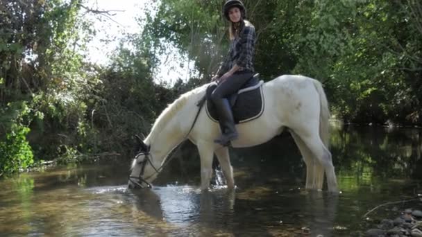 Cavalo Branco Água Potável Rio Jovem Montando — Vídeo de Stock