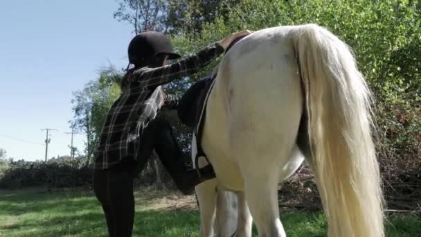 Αναβάτης Όμορφη Νεαρή Γυναίκα Άσπρο Άλογο — Αρχείο Βίντεο