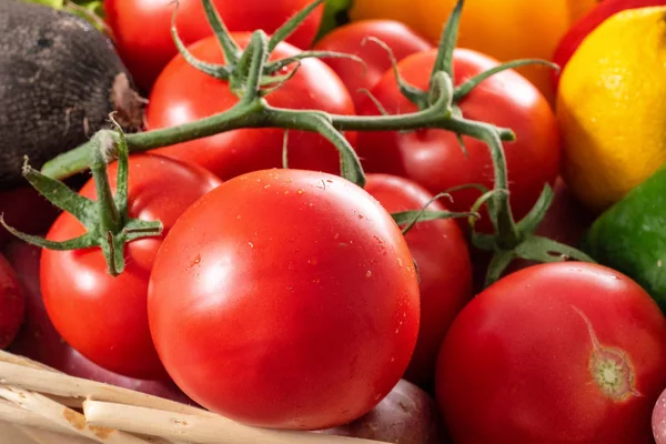 Tomates Rojos Saludables Racimo — Foto de Stock