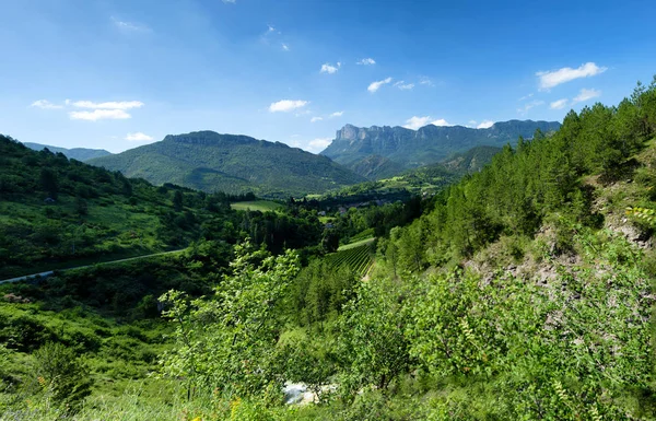 Uma Paisagem Montanhosa Drome França — Fotografia de Stock