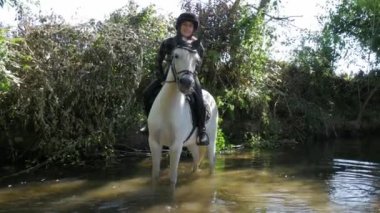 Genç kadın binici beyaz atı ile