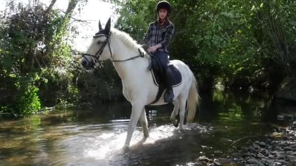 Kobieta Koniu Jeździ Rzece Zwolnionym Tempie — Wideo stockowe