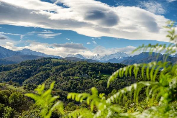 Ett Bergslandskap Franska Pyrenéerna Med Ormbunkar Förgrunden — Stockfoto