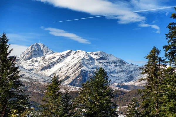 法国比利牛山脉的冷杉树的看法以 Pic Midi Bigorre 为背景 — 图库照片