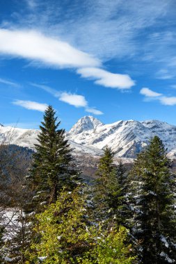çam ağaçları ile Pic du Fransızca pyrenees dağlarda görünümünü MIDI de Bigorre arka planda