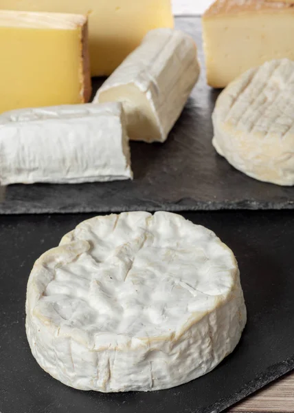Camembert Aus Der Normandie Mit Verschiedenen Französischen Käsesorten — Stockfoto