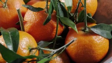 mandalina dönen yapraklarla closeup