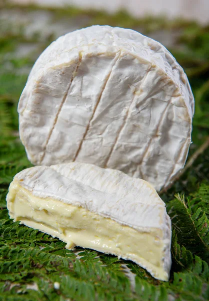 Lahodný Camembert Normandie Sýra Mléčného Výrobku — Stock fotografie