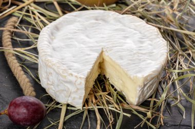 saman, süt ürünleri Normandiya'da Camembert