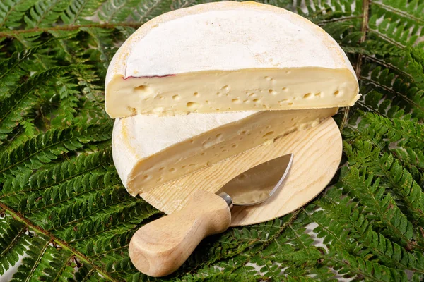 フランス産チーズ ルブロションのクローズ アップ — ストック写真