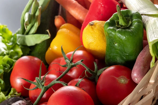 Legumes Sazonais Tomates Pimentos Outros — Fotografia de Stock