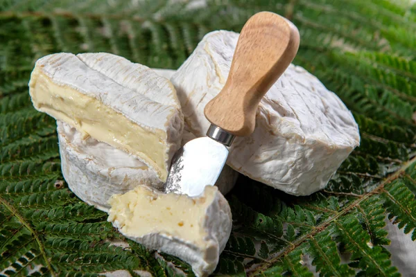 カマンベール チーズの伝統的なノルマンディー フランス 酪農製品 — ストック写真