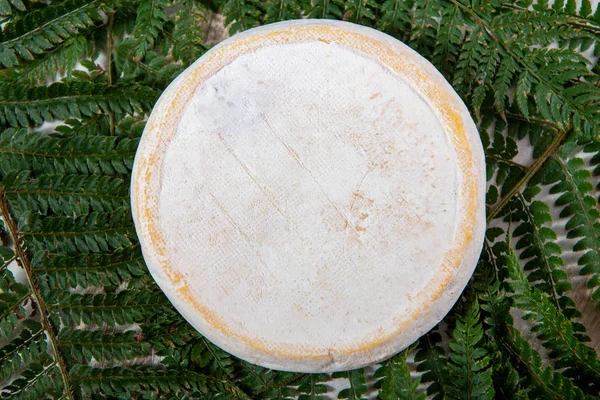 Een Heerlijke Berg Franse Kaas Reblochon Savoie Product — Stockfoto