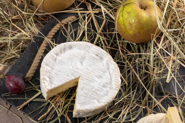 Ein Camembert Aus Der Normandie Stroh Milchprodukt — Stockfoto