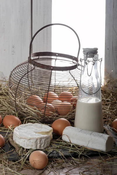 法国卡门伯特奶酪 鸡蛋和牛奶秸秆 — 图库照片