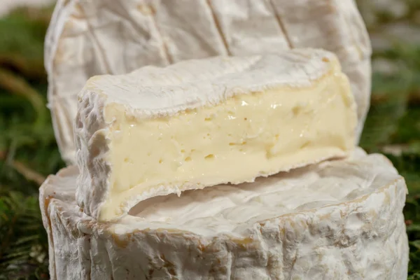 Sýr Camembert Tradiční Francouzské Normandie Mléčný Výrobek — Stock fotografie