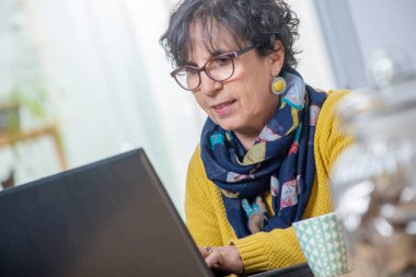 dizüstü bilgisayar vasıl ev ile güzel bir esmer olgun kadın portresi