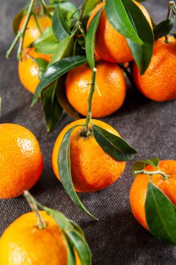 bir closeup yaprakları ile lezzetli mandalina