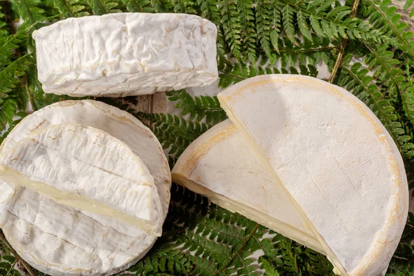 Franska Ostarna Reblochon Och Camembert — Stockfoto