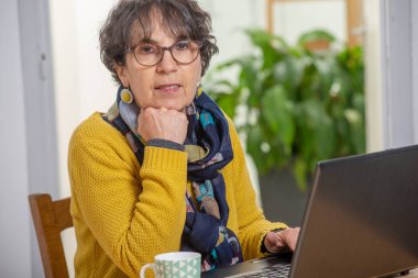 dizüstü bilgisayar vasıl ev ile güzel bir esmer olgun kadın portresi