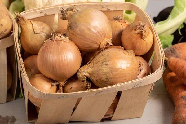 Färsk Lök Mogen Lök Lök Marknaden — Stockfoto