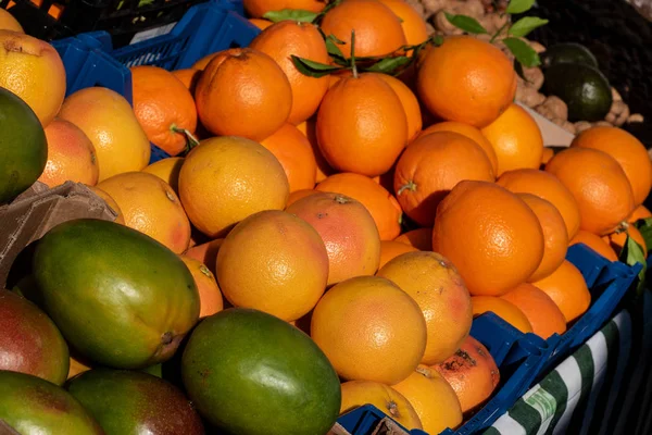 Свежие органические апельсины на рынке — стоковое фото