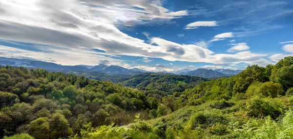 Vista do campo com as montanhas dos Pirenéus em backgroun — Fotografia de Stock