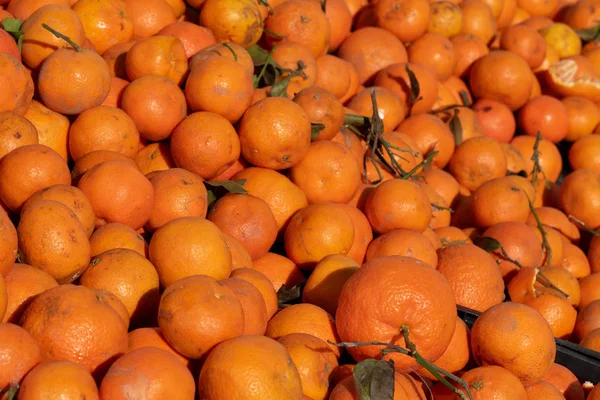 Mandarinas orgánicas frescas en el mercado —  Fotos de Stock
