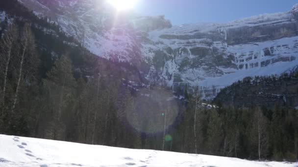 Rivier Gave Pau Het Cirque Gavarnie Frankrijk — Stockvideo