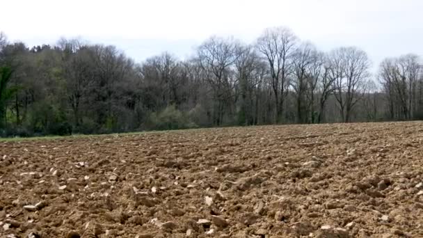 Geploegd Veld Het Platteland — Stockvideo