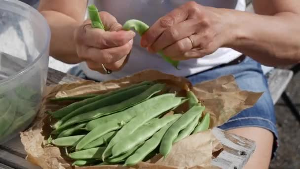 Feijão Francês Verde Uma Mulher Mãos Femininas Cortar Feijões — Vídeo de Stock