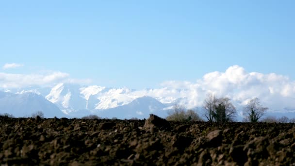 Campo Arato Campagna — Video Stock