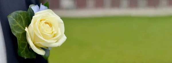 Hochzeit Knopfloch mit gelber Rose auf Mann Anzug — Stockfoto