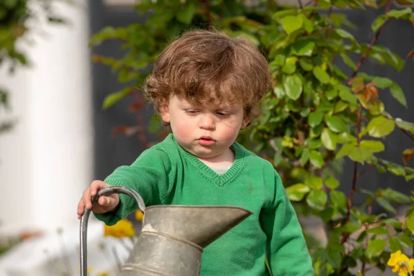 야외에서 재생 하는 녹색 스웨터와 어린 소년의 초상화 — 스톡 사진